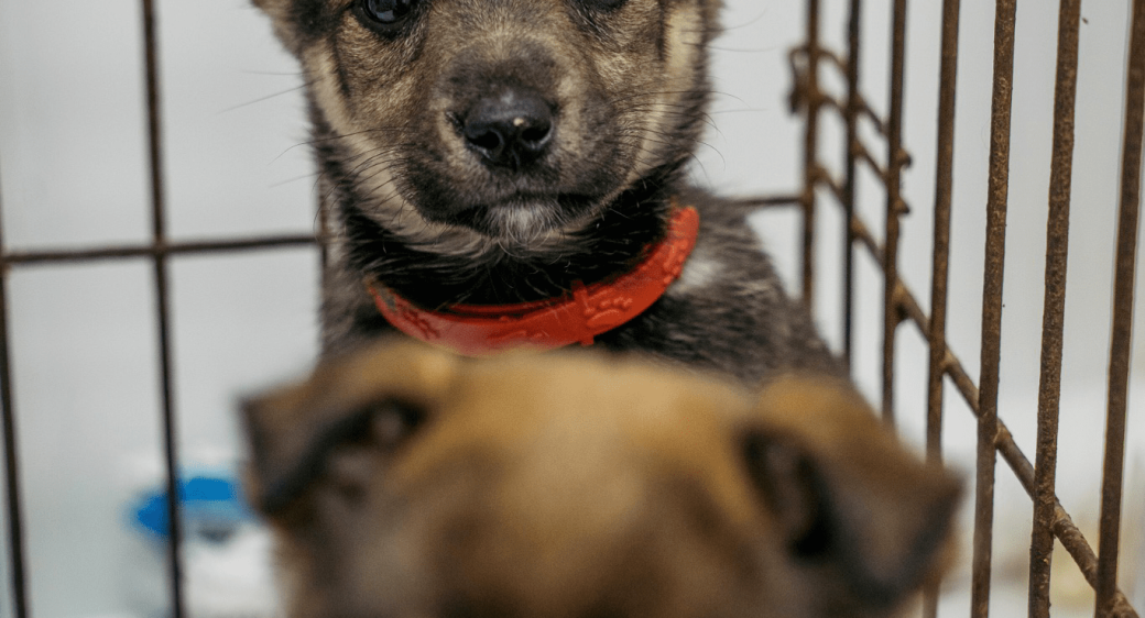 ЛУИ ПЕРЕДАЕТ ПРИВЕТ