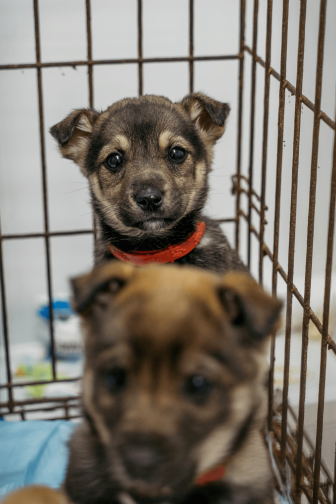 ЛУИ ПЕРЕДАЕТ ПРИВЕТ