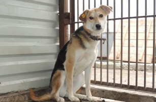 ПРЕКРАСНЫЙ ПОНЕДЕЛЬНИК