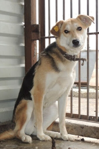 ПРЕКРАСНЫЙ ПОНЕДЕЛЬНИК