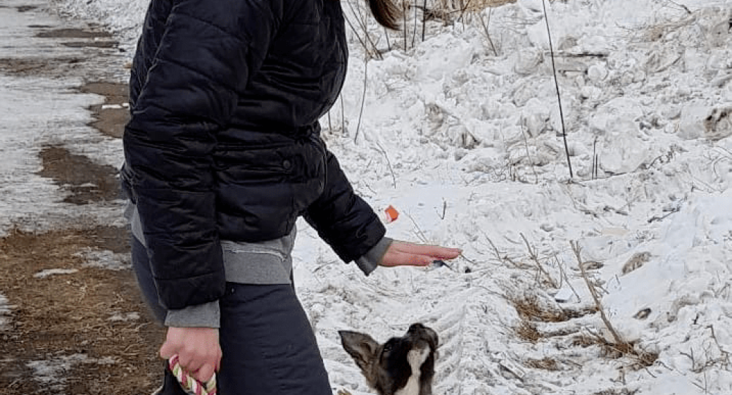 ВРЕМЕННО ПРЕКРАЩЕНЫ ПОСЕЩЕНИЯ В ПРИЮТ