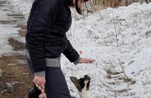 ВРЕМЕННО ПРЕКРАЩЕНЫ ПОСЕЩЕНИЯ В ПРИЮТ