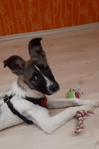 У НАС ХОРОШО, А ДОМА ЛУЧШЕ